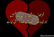 Broken Heart Shayari in Urdu Broken Heart Shayari in Urdu